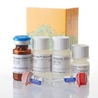 cAMP-Glo™ 检测系统