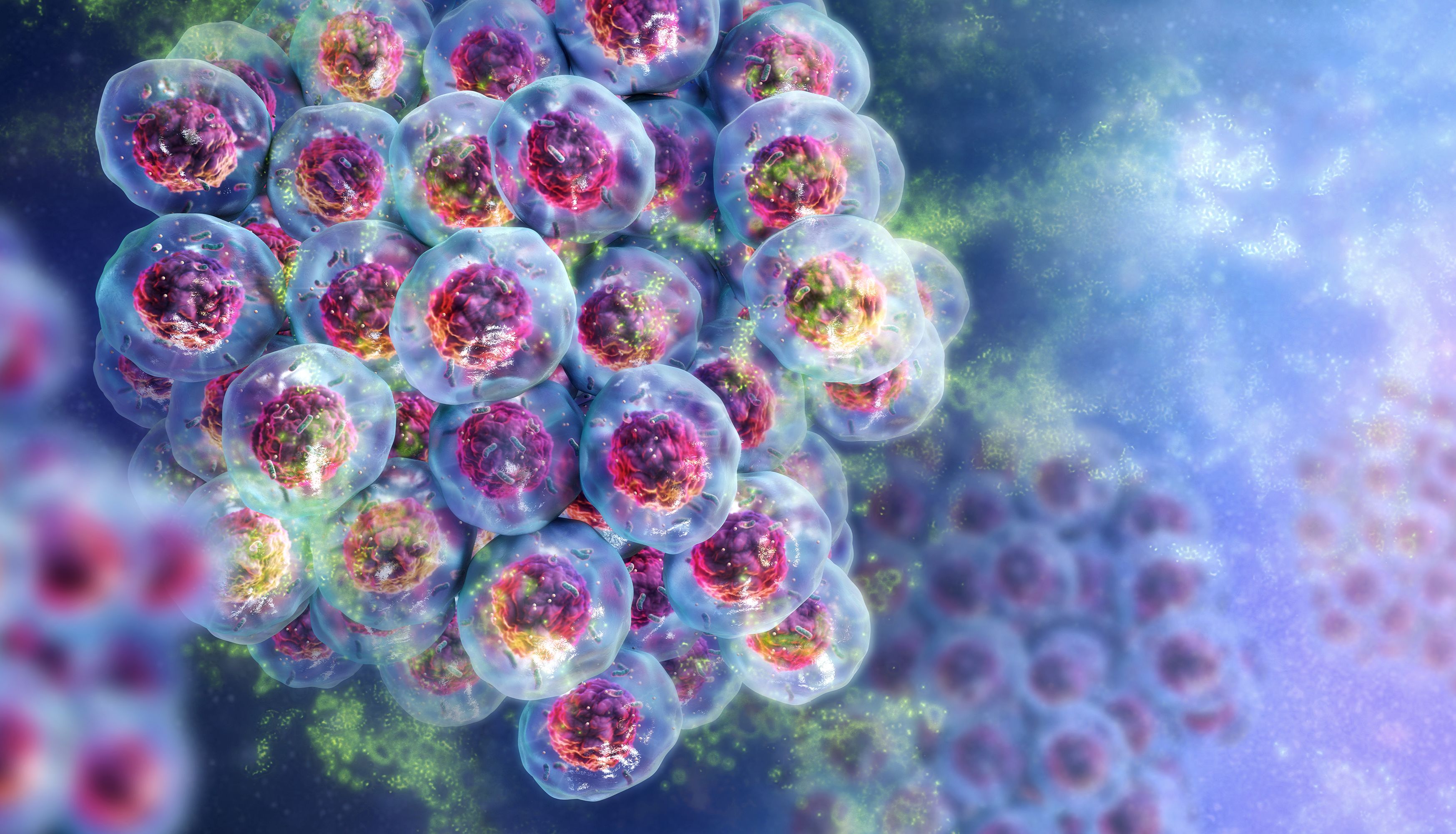 技术 | 实时活力动态监测赋能药物有效性/毒性评估新维度