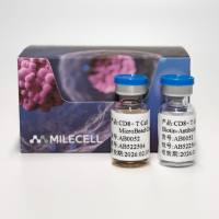 Milecell MagSep™ CD8+ T细胞阴选试剂盒