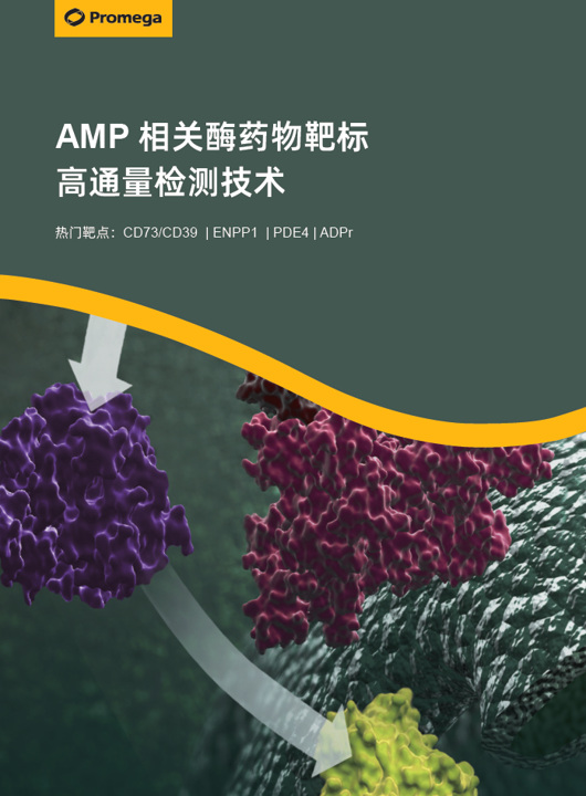 使用均相生物发光检测法监测cGAMP的生成与降解