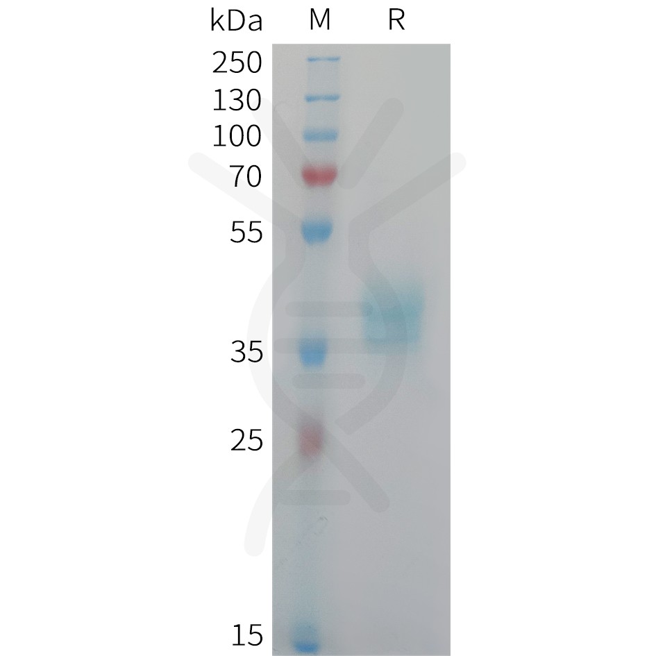 pme101451-cadm3-sp1.jpg