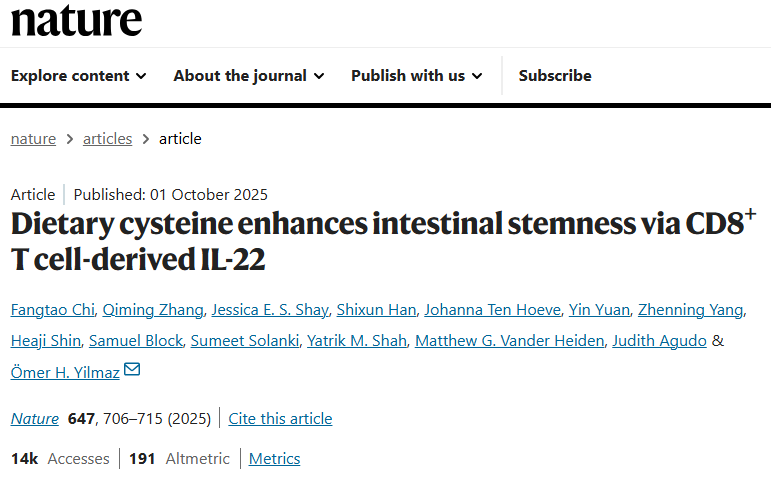 肠道再生之钥：科学家锁定小分子半胱氨酸