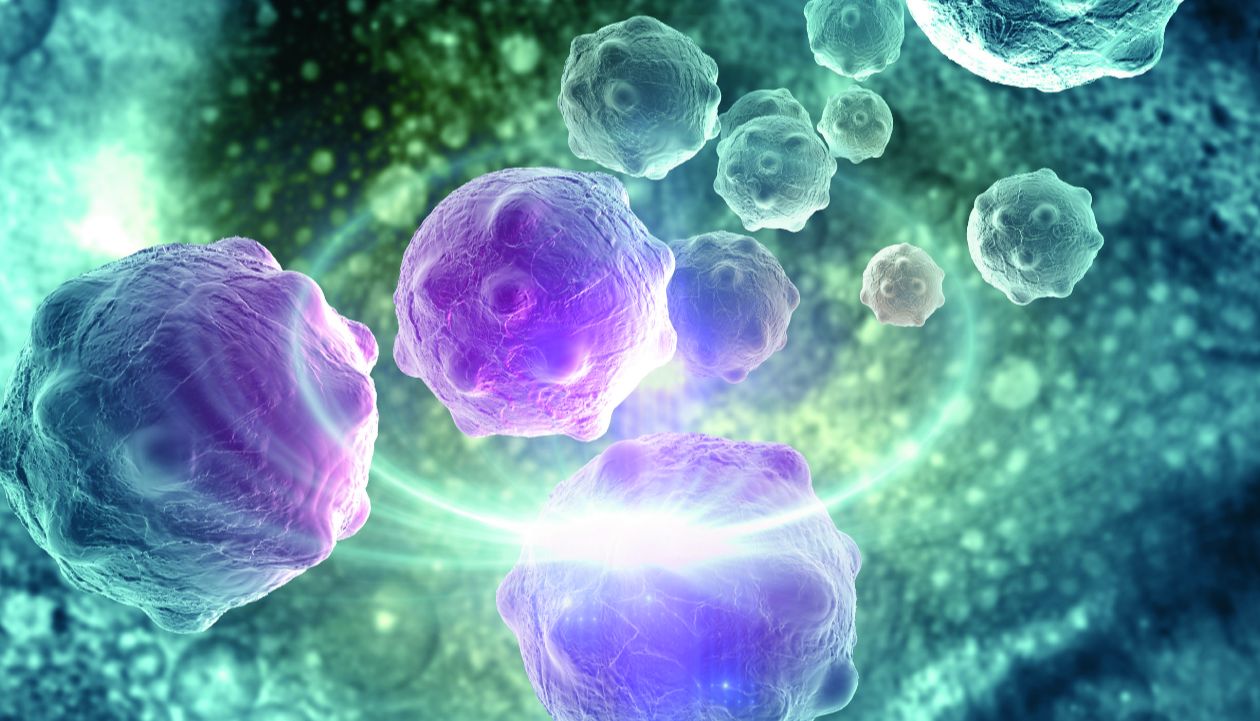 使用均相生物发光检测法监测cGAMP的生成与降解