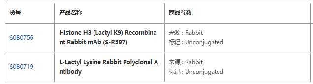 乳酸化抗体能否揭示肿瘤抵抗铁死亡的新机制？