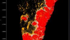 空间蛋白组学服务