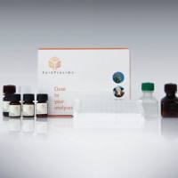 EuroProxima Corticosteroid (皮质类固醇检测试剂盒)
