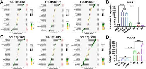 生物信息学分析 生物信息学分析