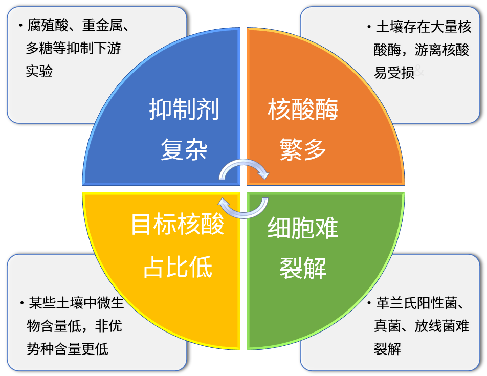 土壤RNA提取太头疼？不防试下这款新品