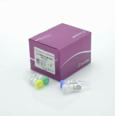 FastSensi一步法除基因组cDNA第一链合成预混试剂（KR138）