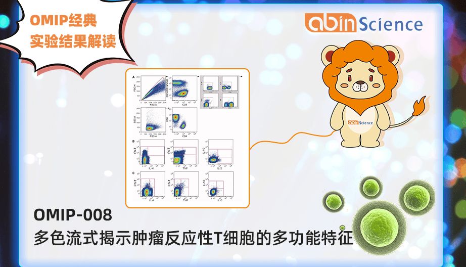 OMIP-008：多色流式揭示肿瘤反应性T细胞的多功能特征