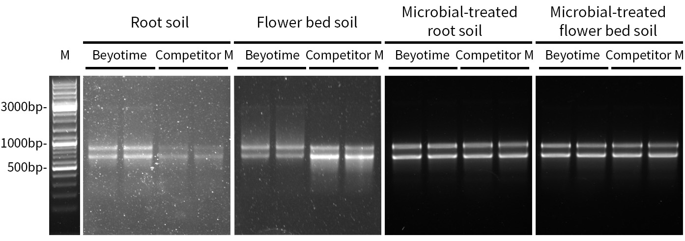 土壤RNA提取太头疼？不防试下这款新品