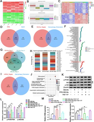生物信息学分析 生物信息学分析