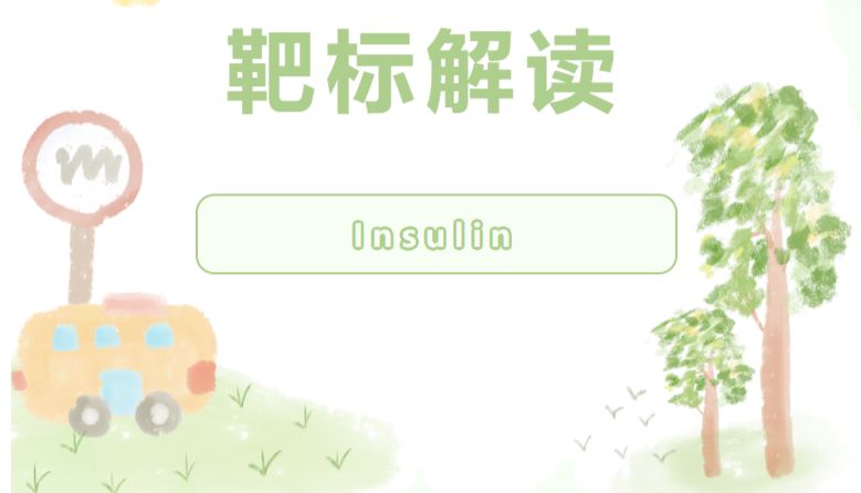 靶标解读|胰岛素Insulin