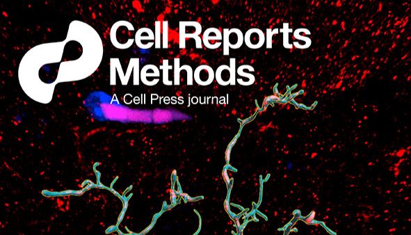SPIDER 技术重大升级：无需纯化，还能做互作动态分析！