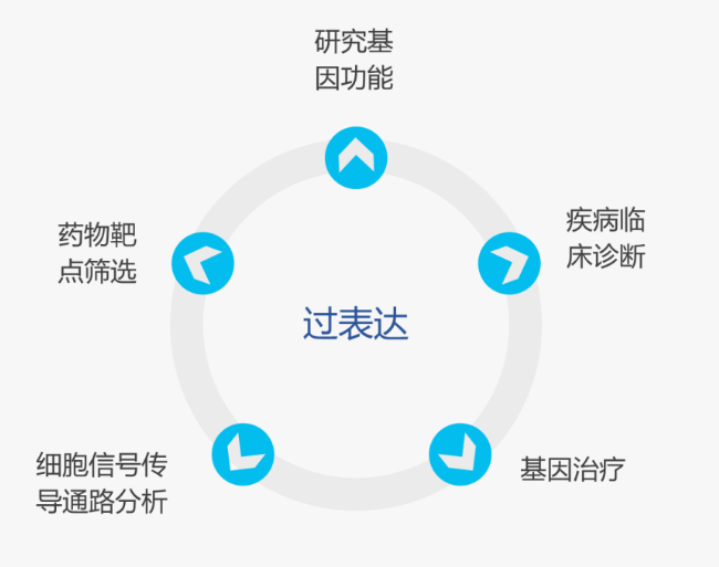技术分享 | 基因过表达研究工具（上） - 企业动态 - 丁香通