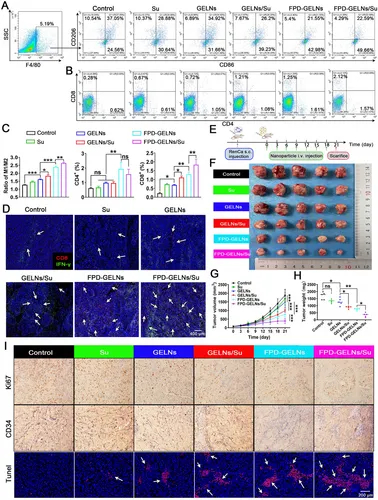 流式细胞术 流式细胞术