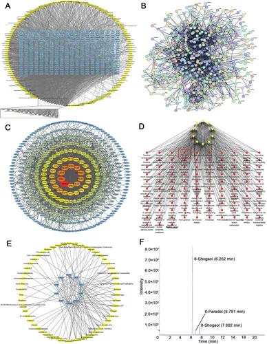 植物外泌体服务 植物外泌体服务