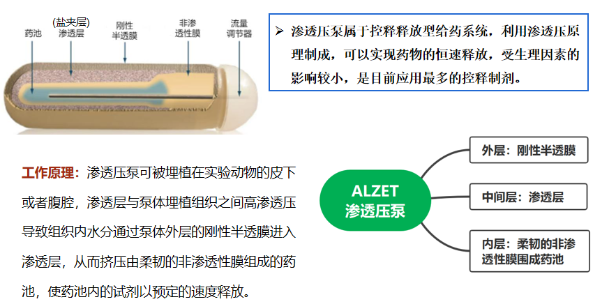 Alzet渗透泵药物浓度与给药时长怎么计算