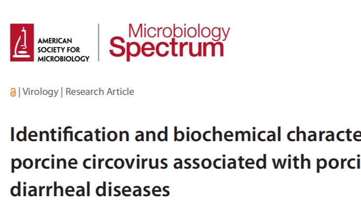 新型猪圆环病毒PCV5被发现！与呼吸道和腹泻疾病密切相关