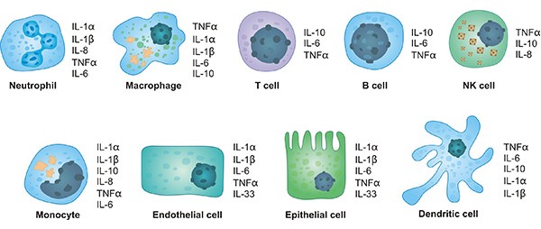 一文搞定细胞因子检测：常用方法合集速递