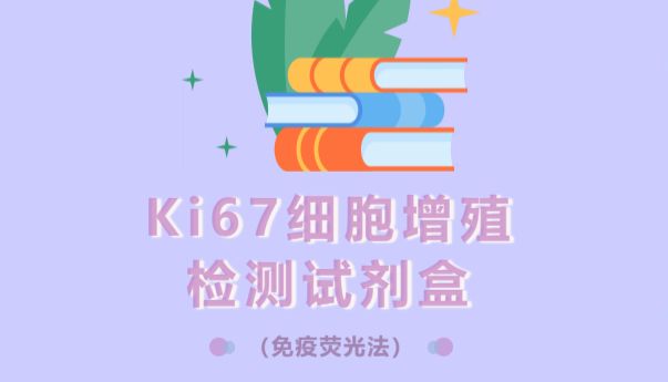 Ki67细胞增殖检测试剂盒（免疫荧光法）