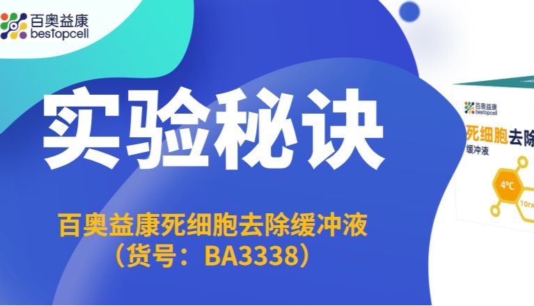 实验秘诀 | 死细胞去除缓冲液的使用方法及注意事项