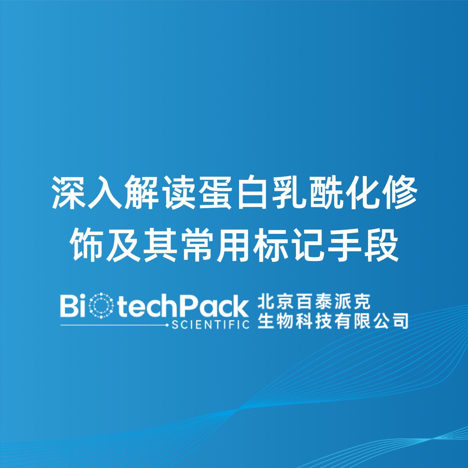 深入解读蛋白乳酰化修饰及其常用标记手段