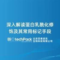 深入解读蛋白乳酰化修饰及其常用标记手段