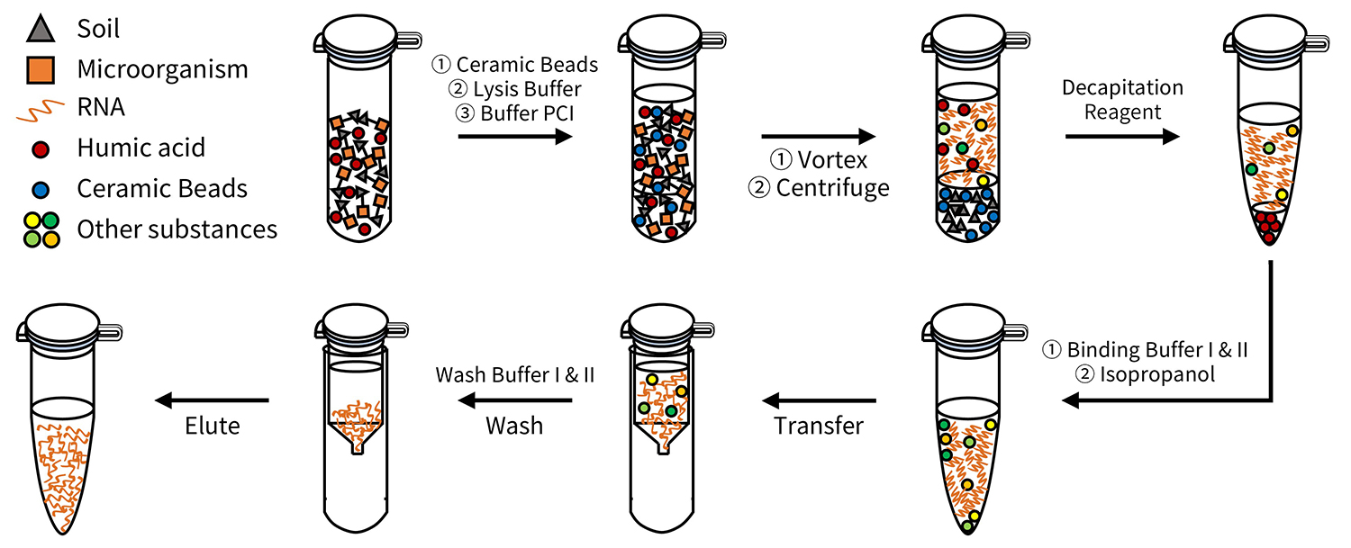 土壤RNA提取太头疼？不防试下这款新品