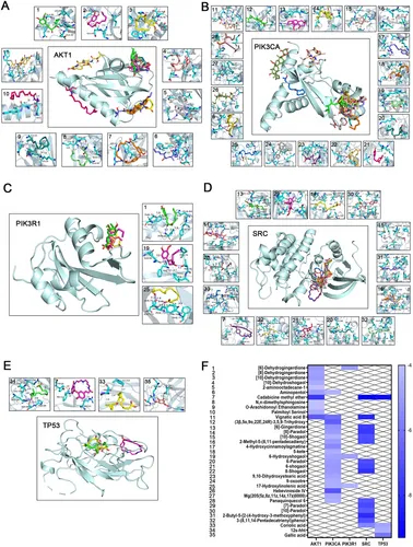 植物外泌体服务 植物外泌体服务