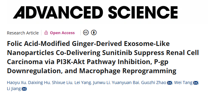 IF：14+植物外泌体发文！从姜GELNs鉴定到免疫重编程，这篇RCC研究闭环绝了