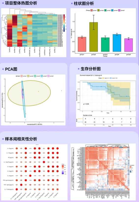 多因子可视化：多维数据关系的图形化解析方法研究