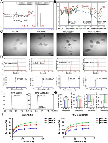 植物外泌体服务 植物外泌体服务