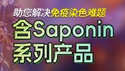 免疫染色难题？含Saponin系列产品已就位