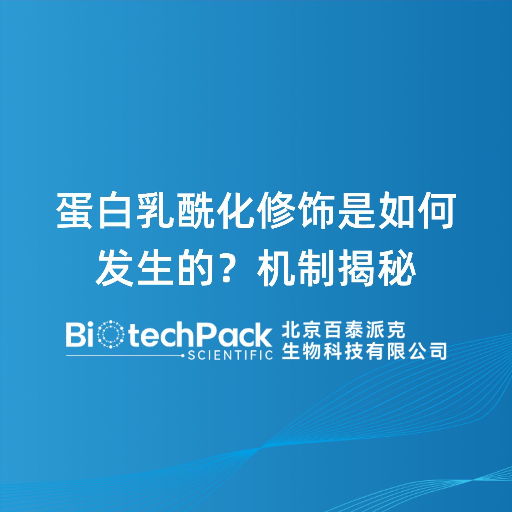 蛋白乳酰化修饰是如何发生的?机制揭秘