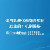 蛋白乳酰化修饰是如何发生的？机制揭秘