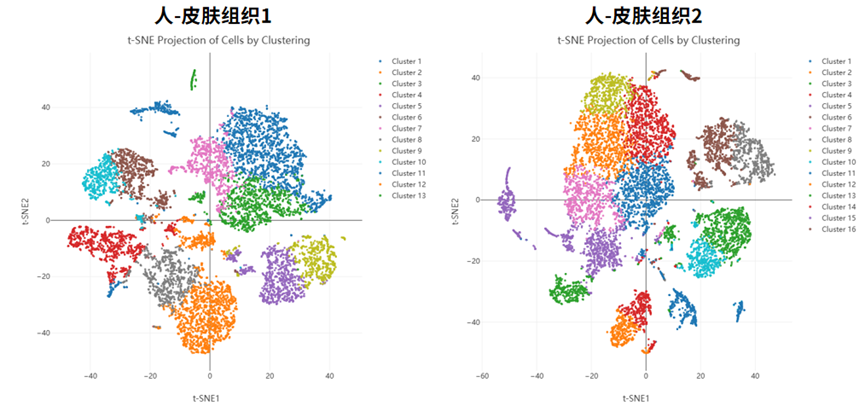 皮肤组织解离试剂盒