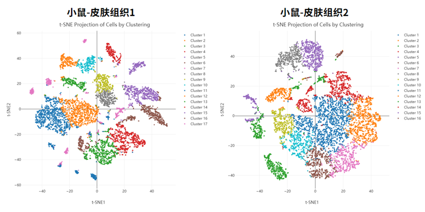 皮肤组织解离试剂盒