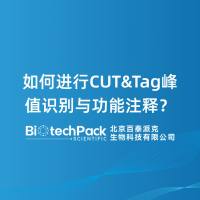 如何进行CUT&Tag峰值识别与功能注释？