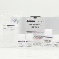 细菌基因组 DNA 提取试剂盒（柱式法）