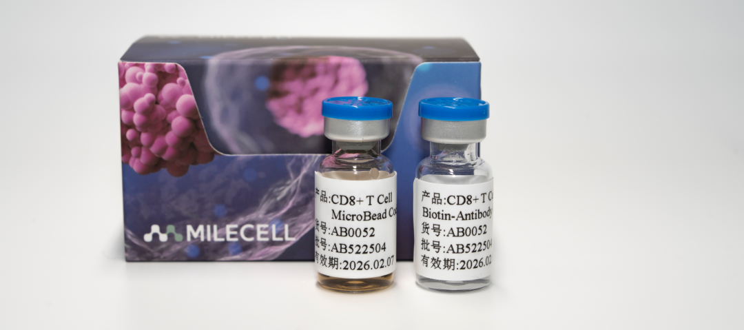 更懂细胞，更优分选系列（五）| Milecell MagSep™ CD8+ T细胞阴选试剂盒