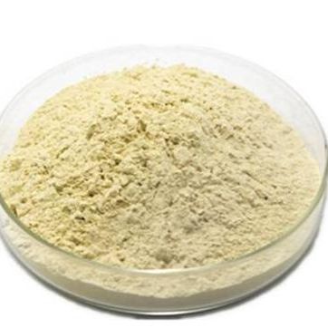 人参总皂苷    电话：18014840890