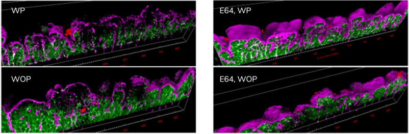 技术资料图片10