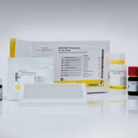 RIDASCREEN® Streptomycin (链霉素检测试剂盒)