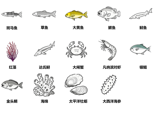 盘点一下AtaGenxi的定制服务都接过哪些千奇百怪的物种？