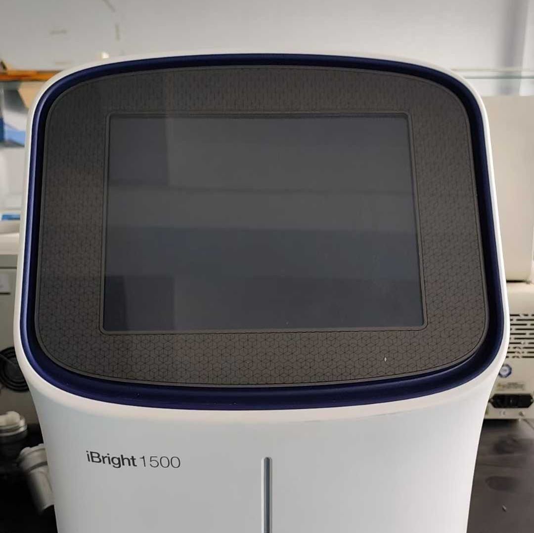 赛默飞iBright FL1500凝胶成像仪