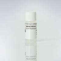 RIDA® Streptomycin Spiking Solution (链霉素加标溶液)