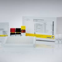 RIDASCREEN® Chloramphenicol (氯霉素检测试剂盒)