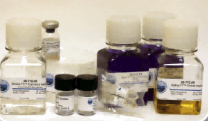 什么是Ames试验？