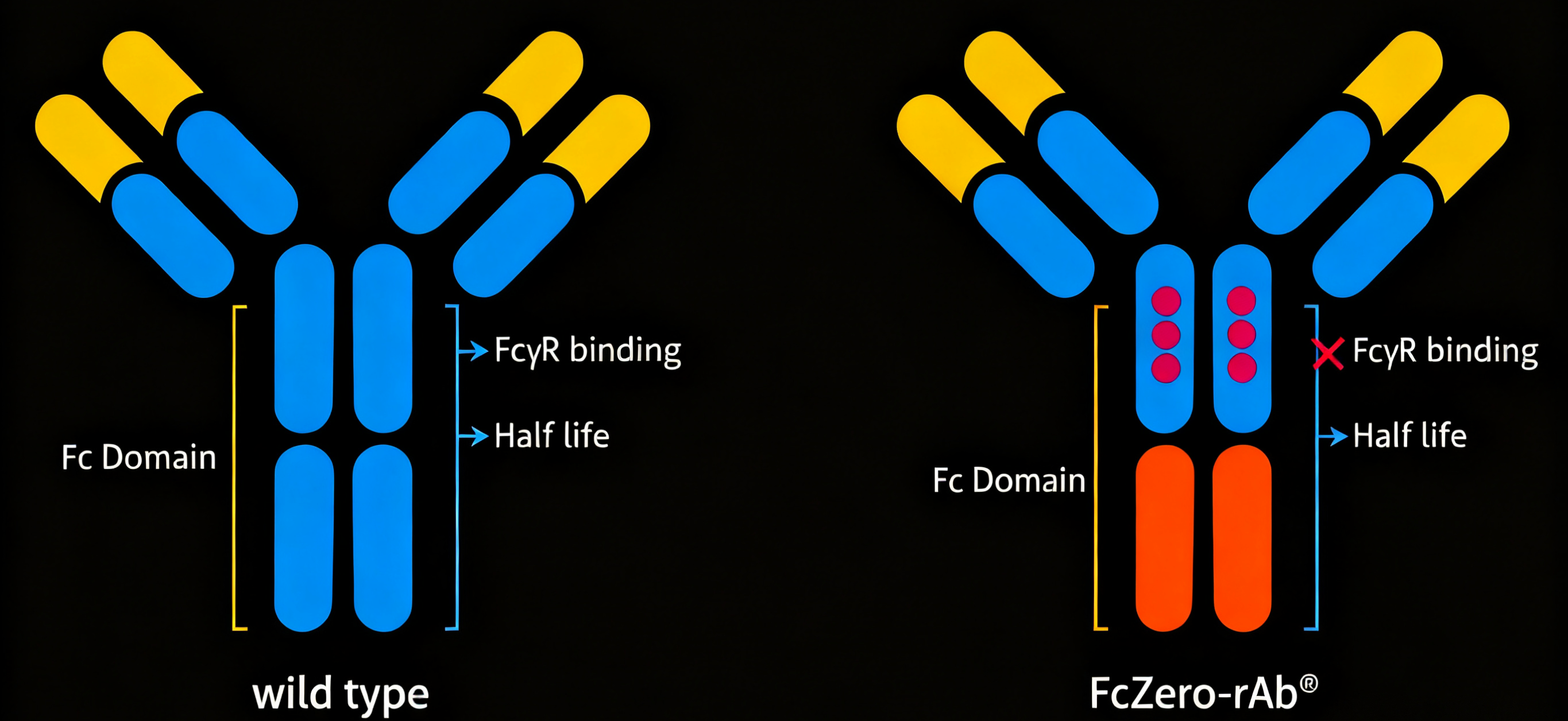 OneStep ELISA试剂盒能否实现高效精准的蛋白检测？